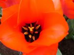 dsc001111