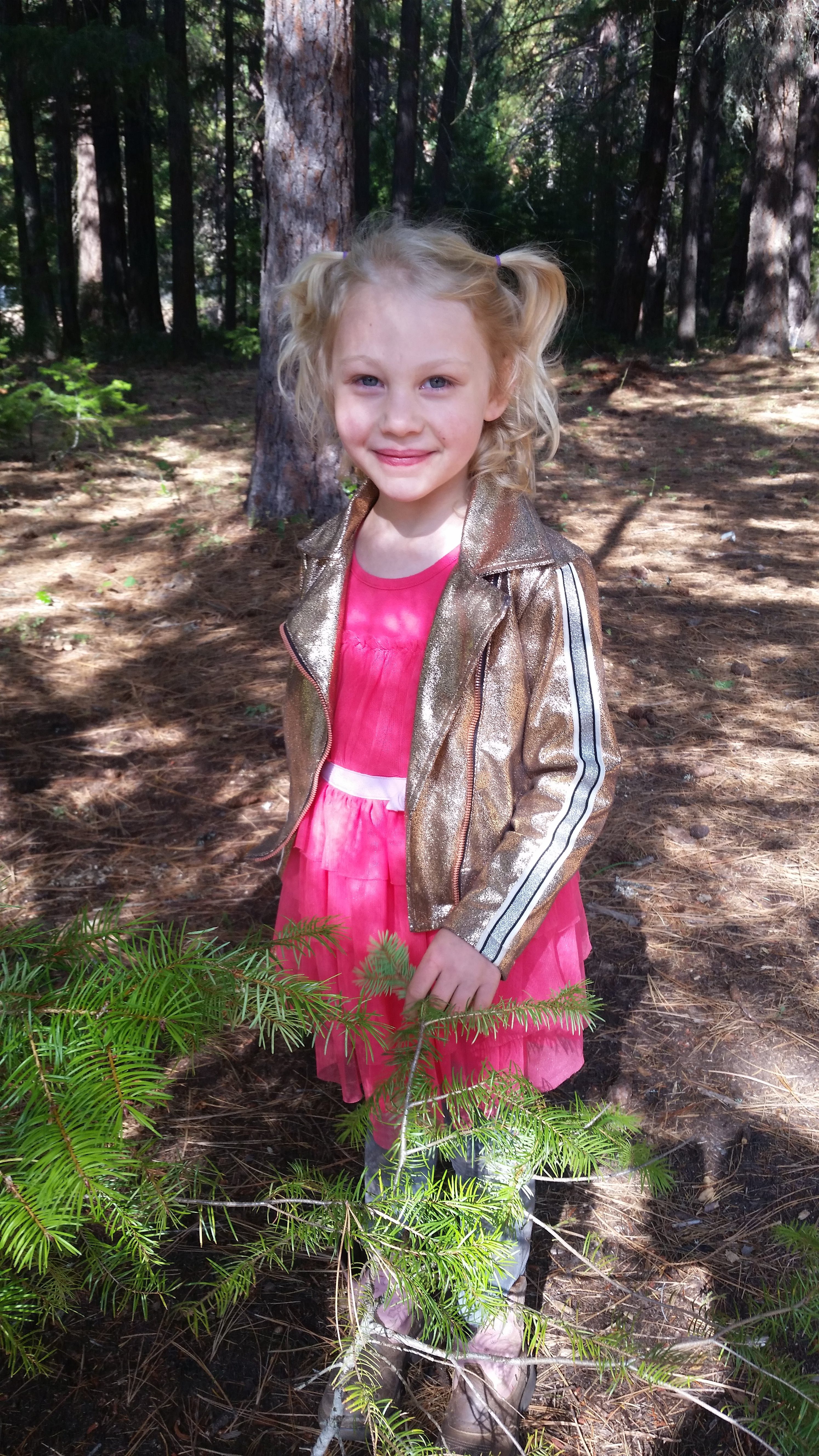 Ashland middle school homework hotline image