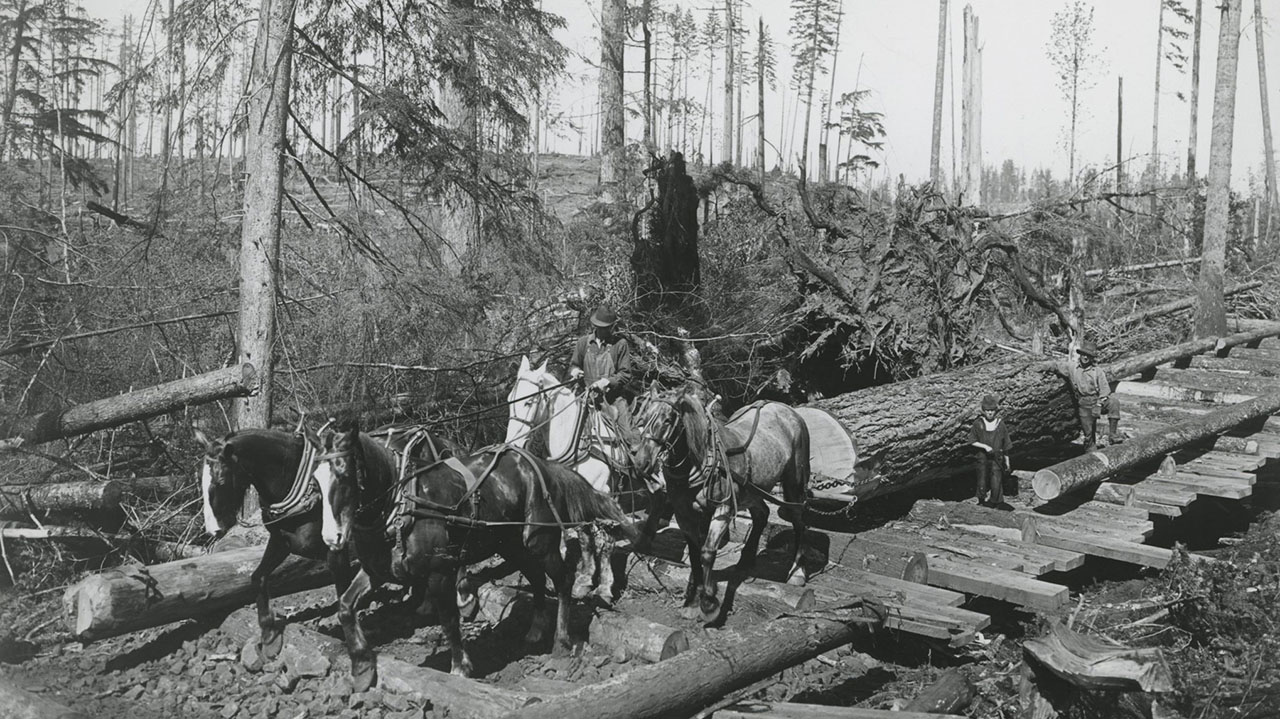 skidroad_logging_team