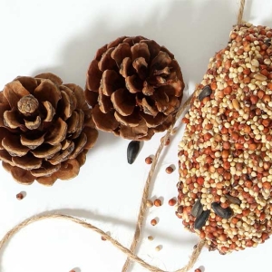 Pine cone bird feeder